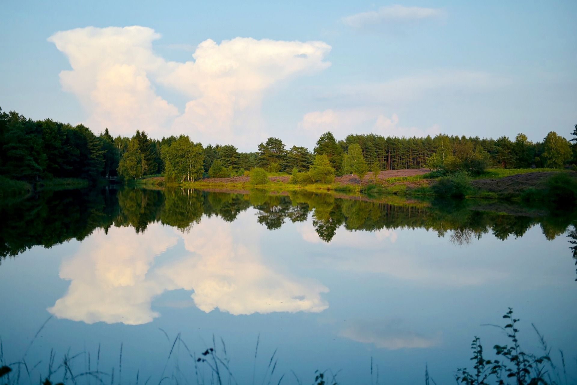 Buchholz in der Nordheide